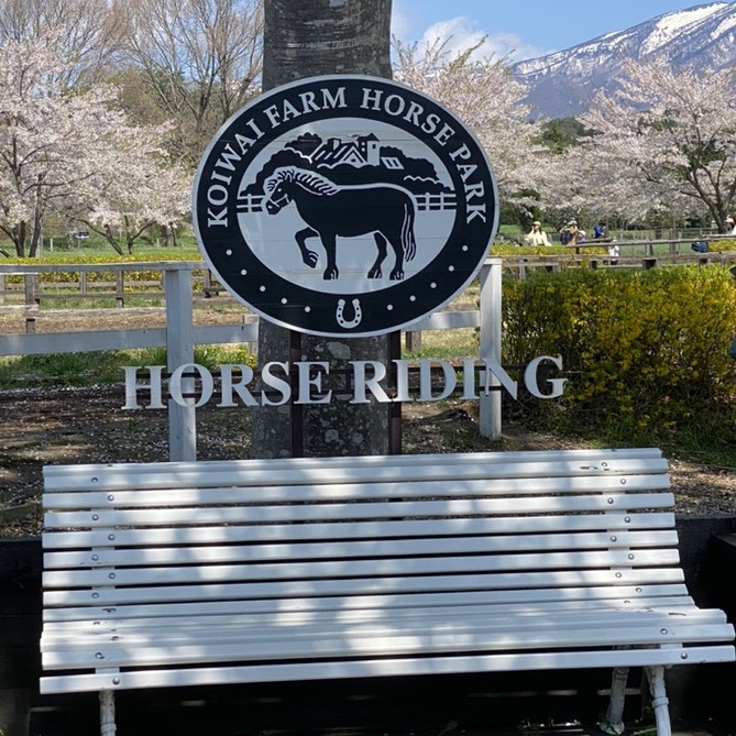 GWの小岩井農場の乗馬体験の混雑状況について